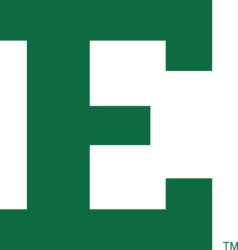 Eastern Michigan Eagles 1995-2001 Alternate Logo diy DTF decal sticker